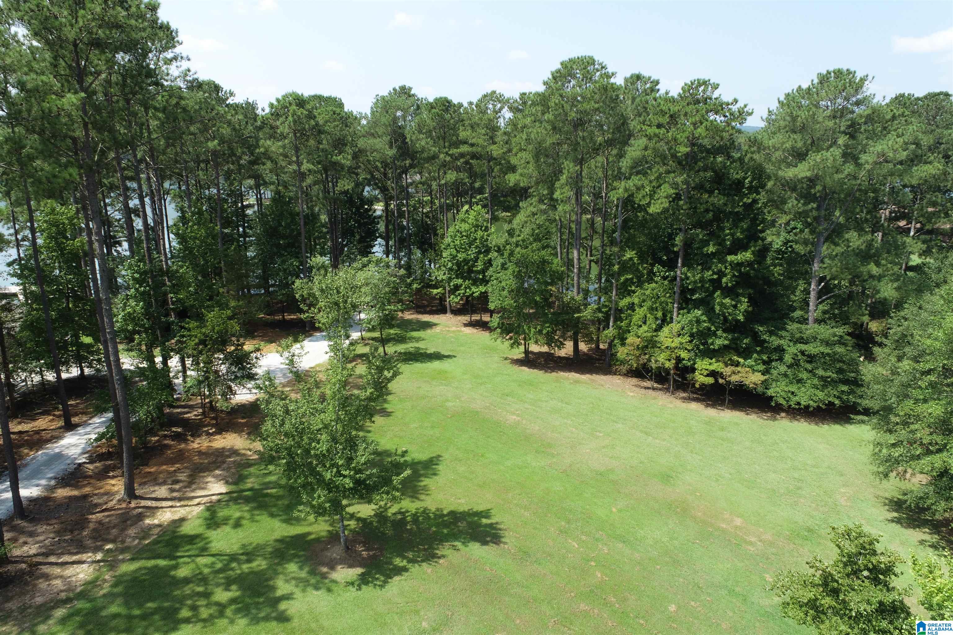 0 Wylie Road Wedowee, AL 36278 - Photo 3 of 10