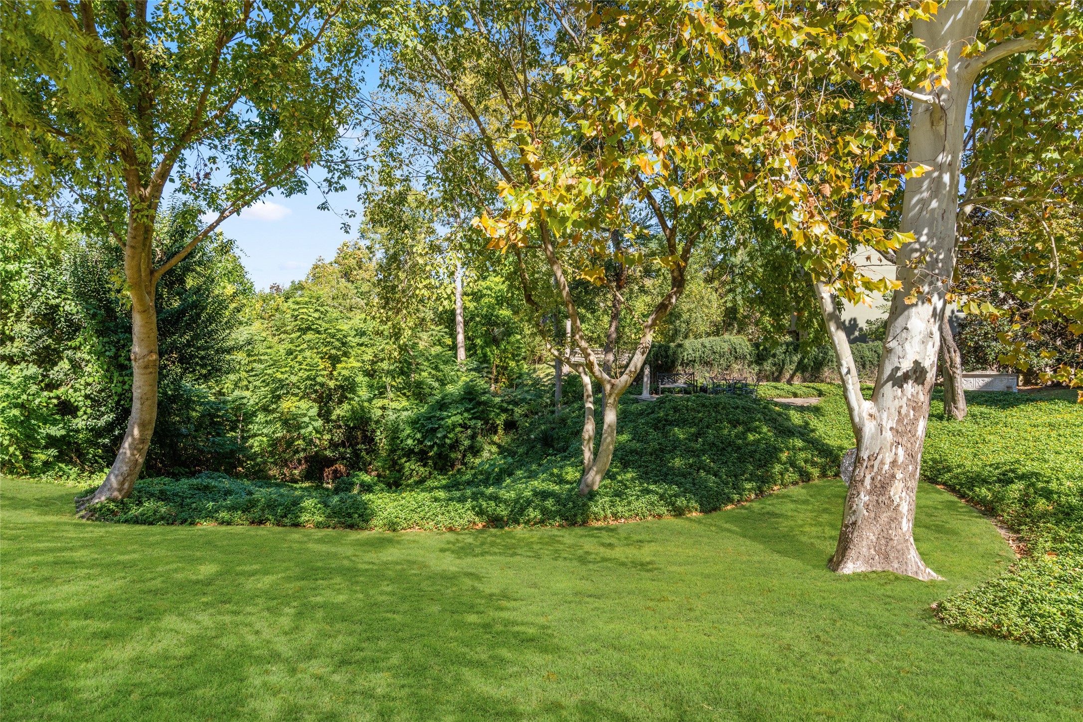 6024 Memorial Drive Houston, TX 77007 - Photo 42 of 47 a view of backyard with green space