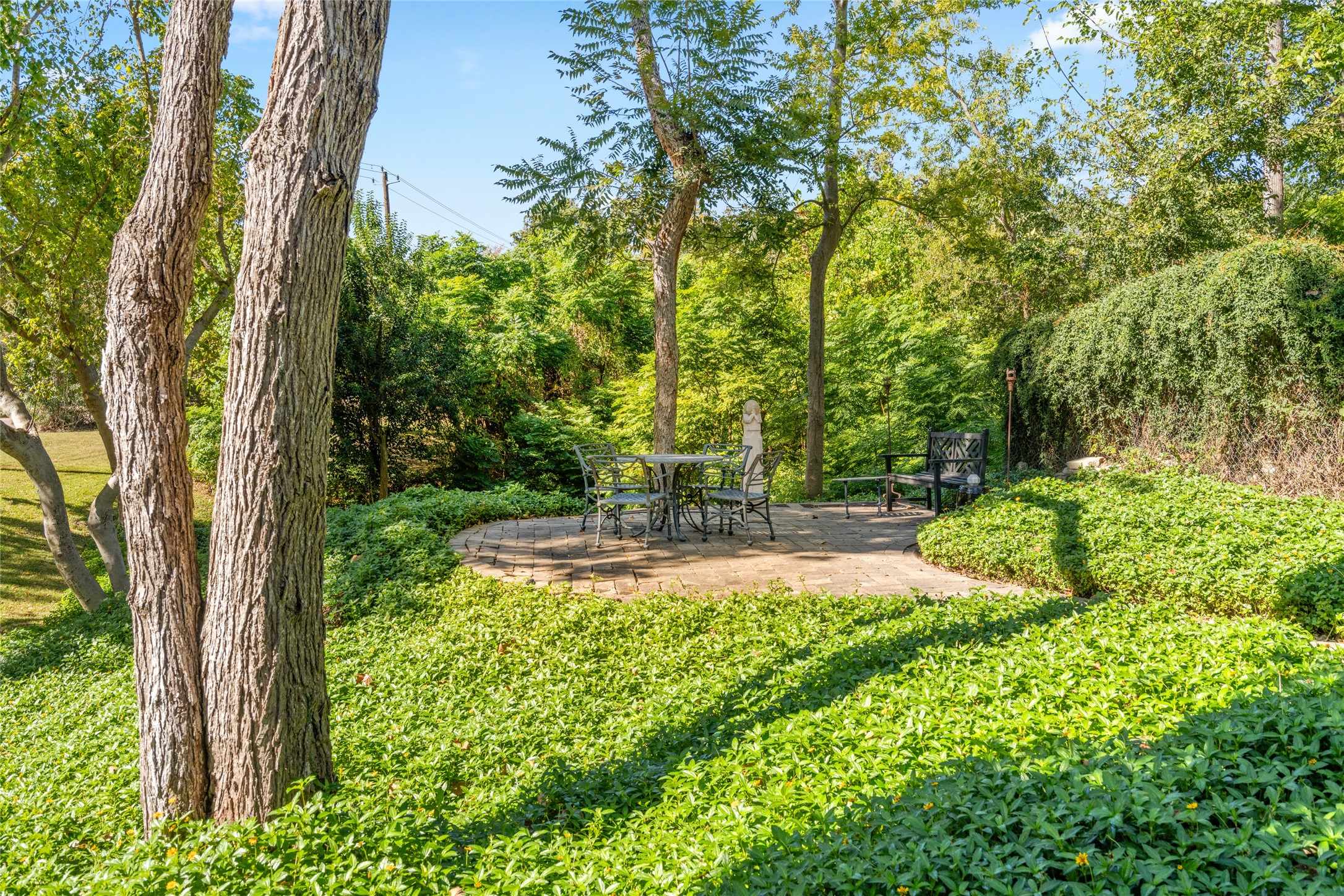 6024 Memorial Drive Houston, TX 77007 - Photo 43 of 47 a view of a backyard with large trees