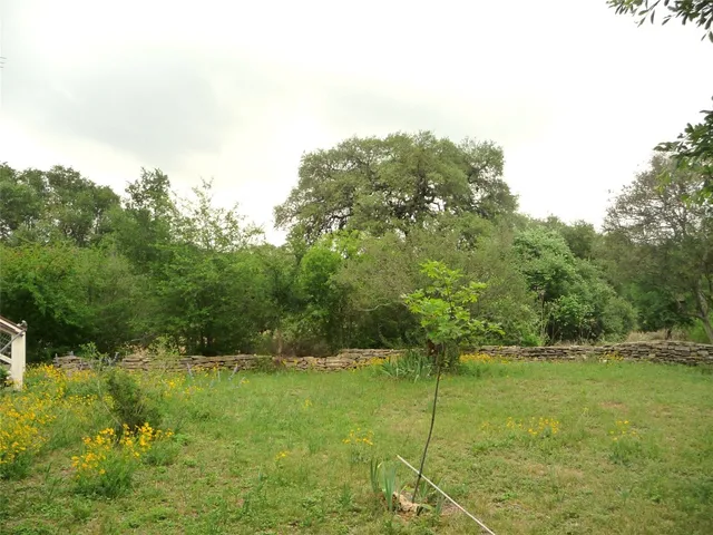 a view of a garden with a tree