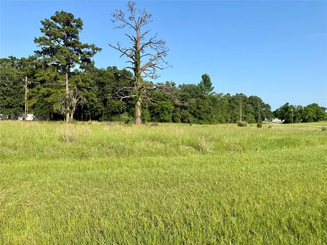 $16,000 | Tbd Hot Springs Drive, Trinity, TX 75862
