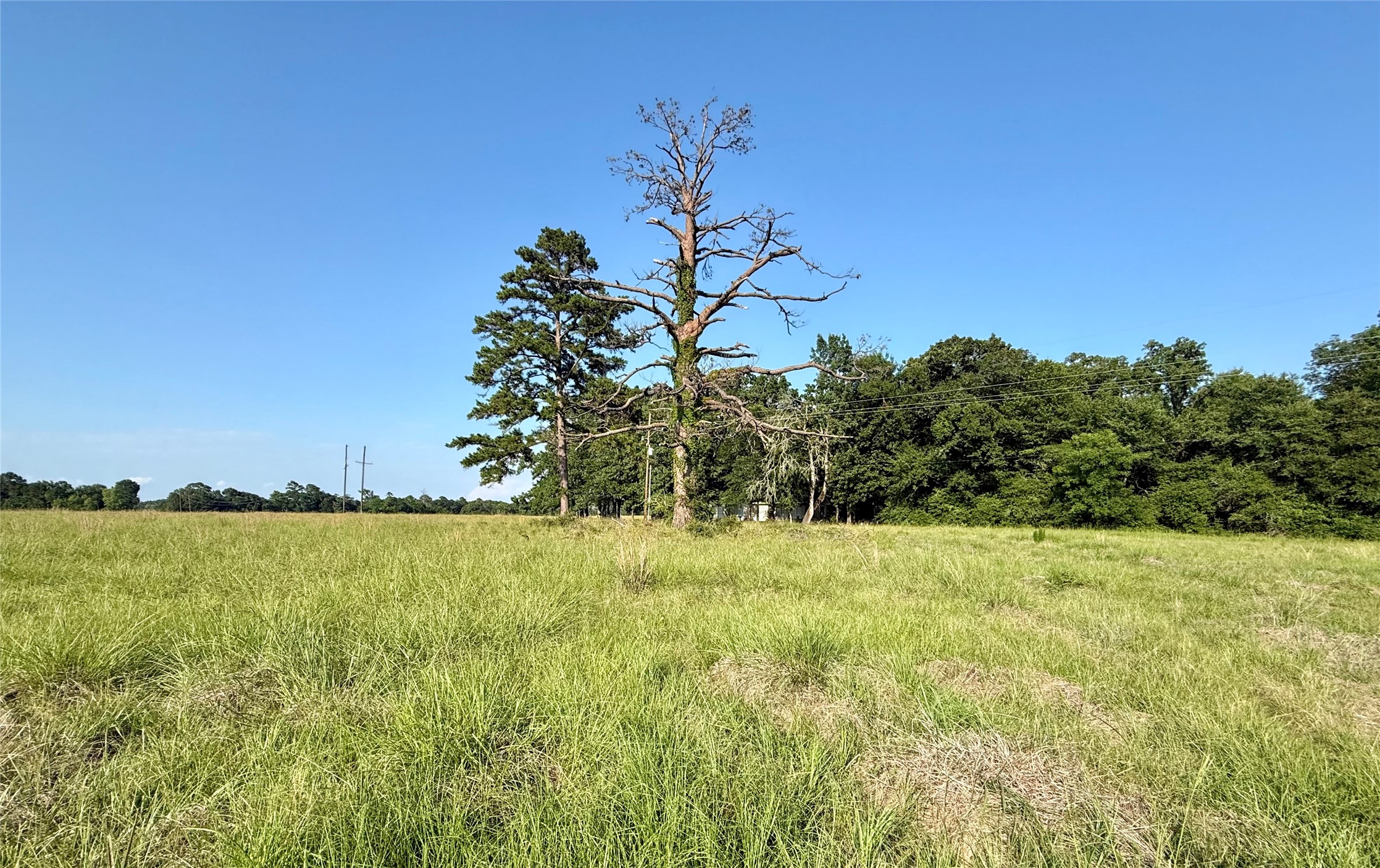 Tbd Hot Springs Drive Trinity, TX 75862 - Photo 2 of 7 Gravel road