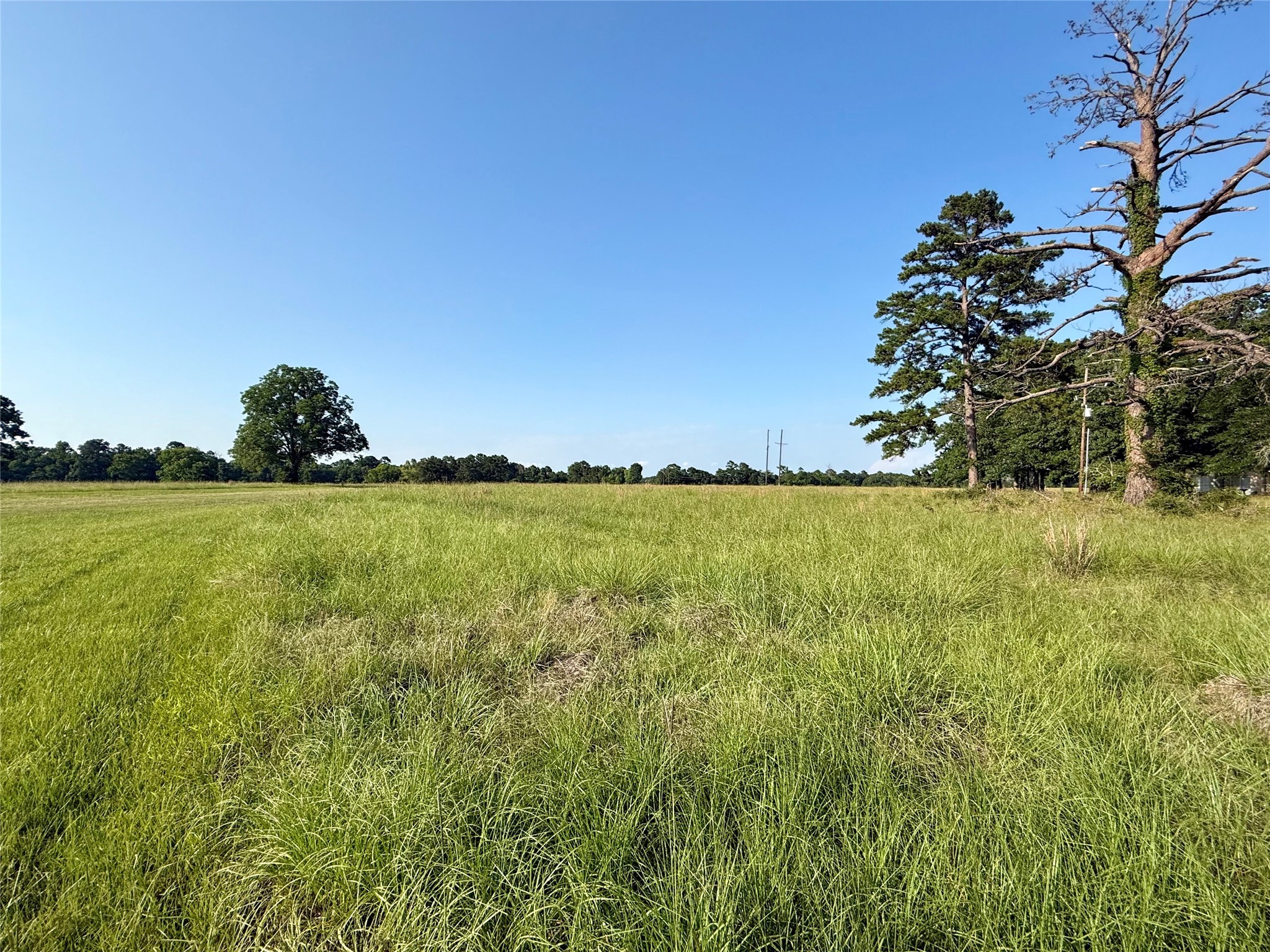 Tbd Hot Springs Drive Trinity, TX 75862 - Photo 3 of 7