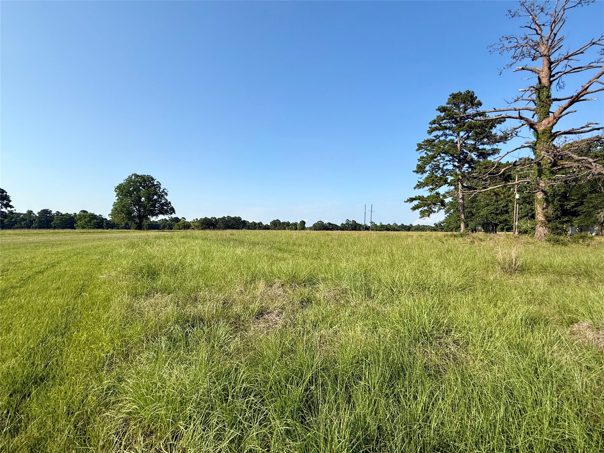 Tbd Hot Springs Drive Trinity, TX 75862 - Photo 3 of 7 a view of a lake view