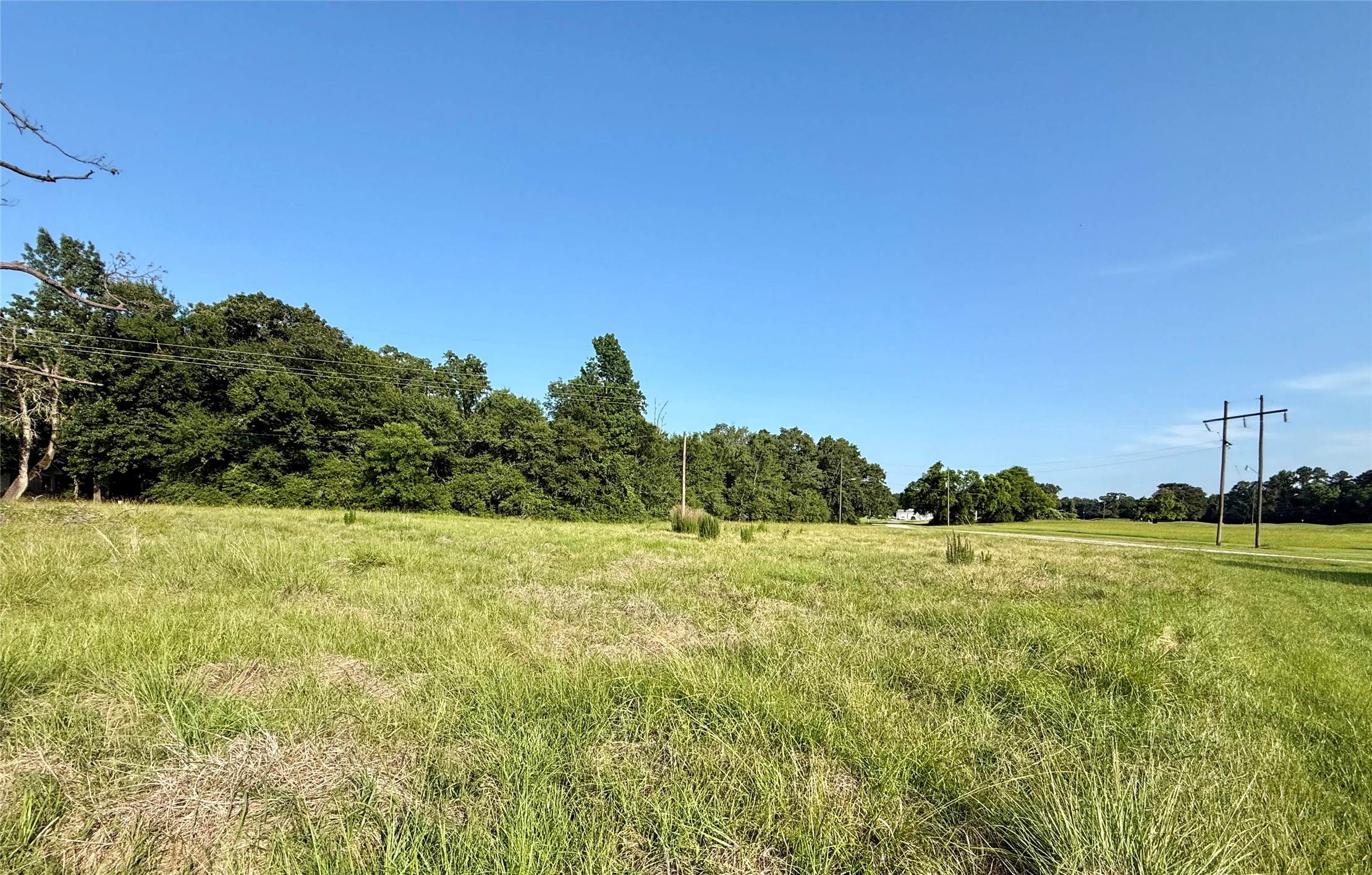 Tbd Hot Springs Drive Trinity, TX 75862 - Photo 4 of 7