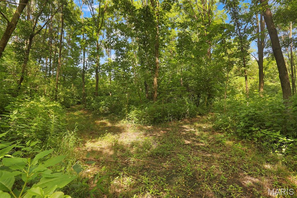 613 22nd Street Hillsboro, IL 62049 - Photo 27 of 36