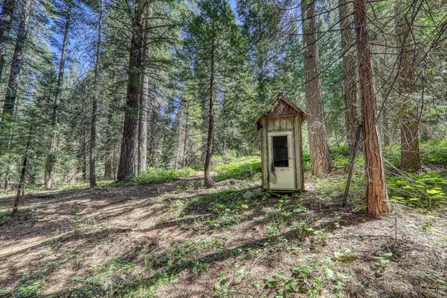 a big house with large trees and plants