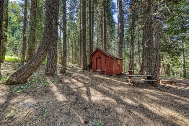a view of backyard with green space