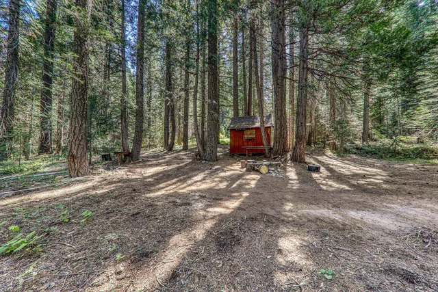a view of a backyard with trees