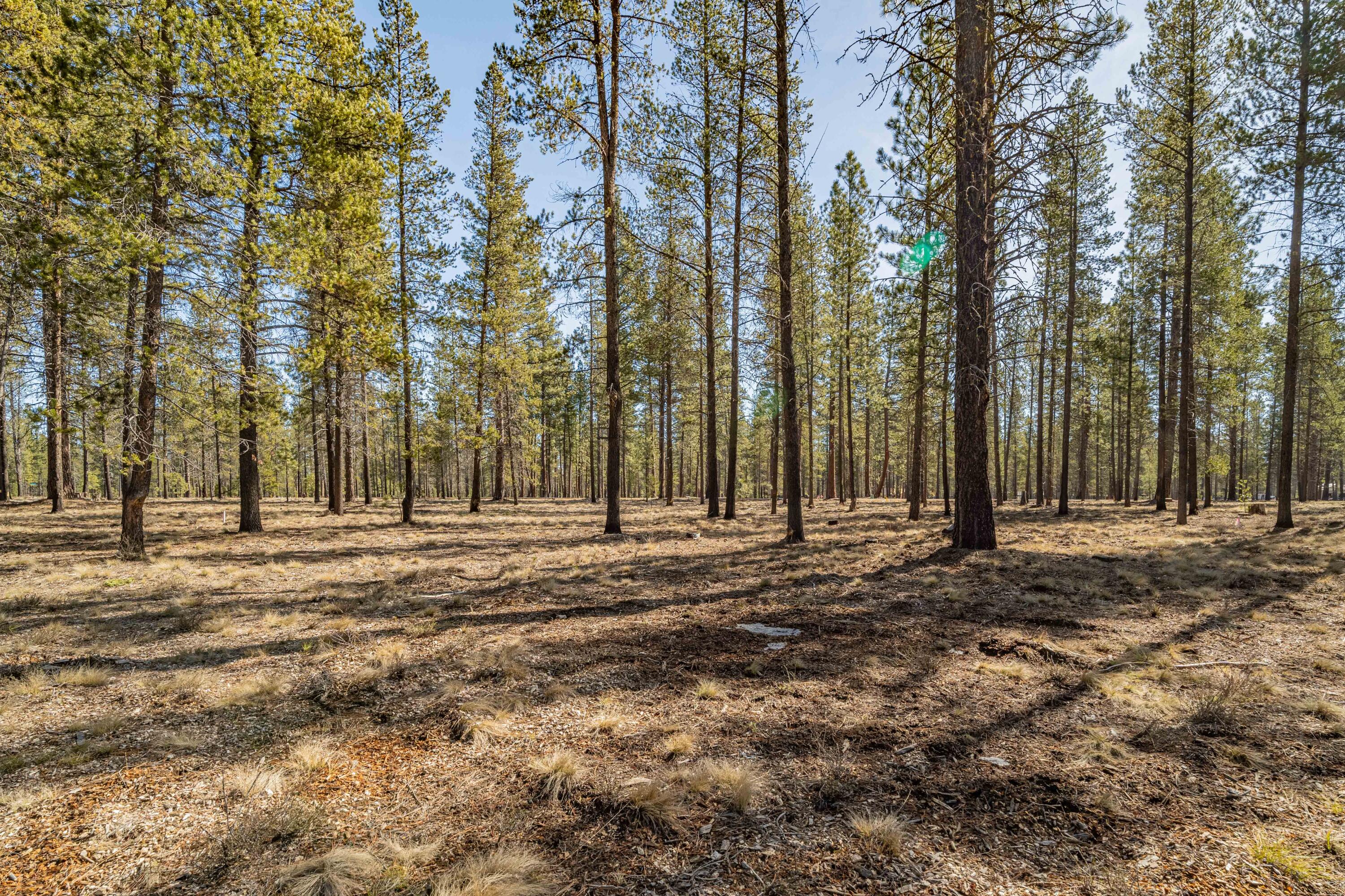 Preservation Loop Bend, Unit 463 Bend, OR 97707 - Photo 1 of 20 DSC07464-HDR