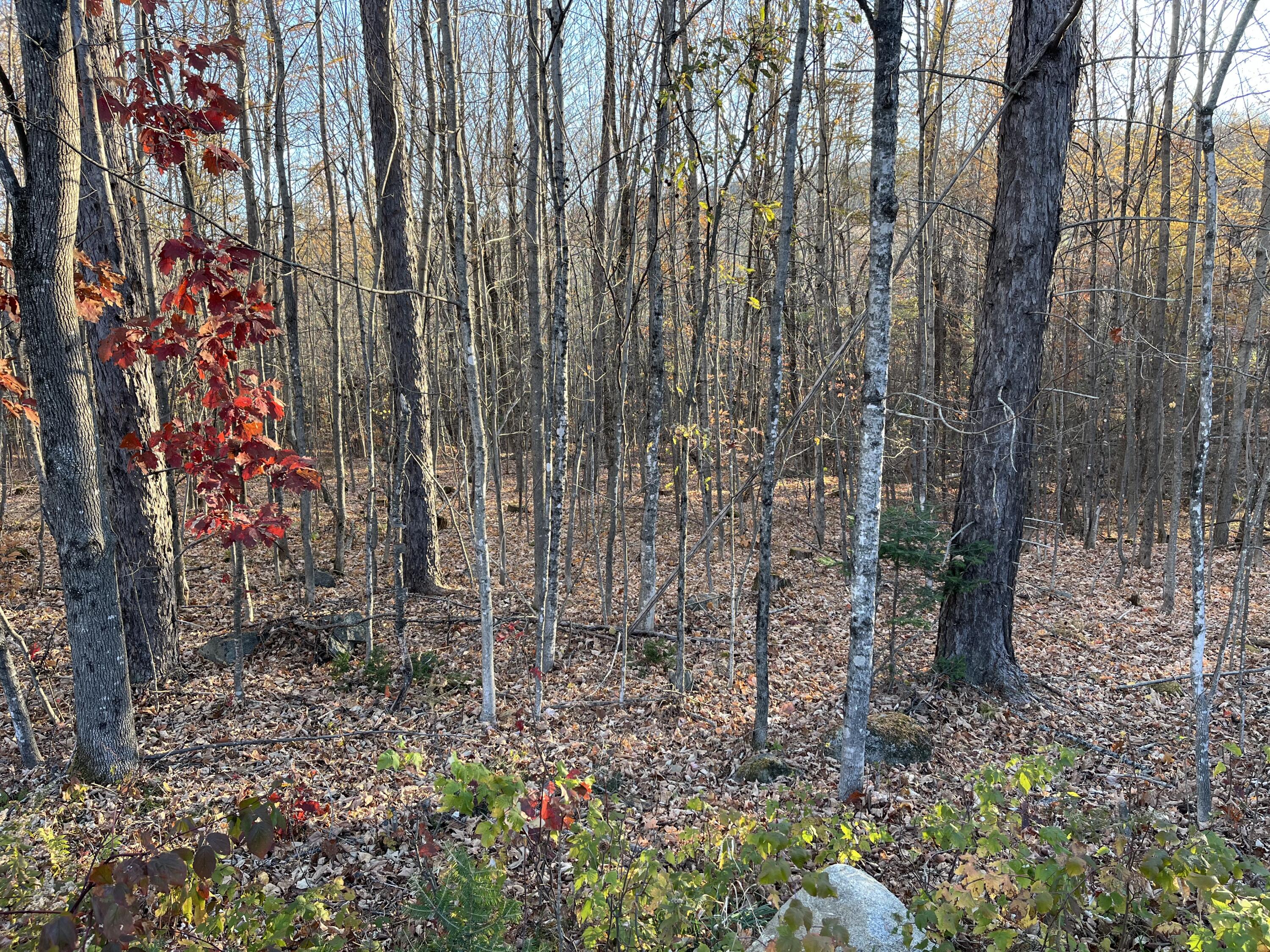 0 Old County Road Bryant Pond, ME 04219 - Photo 2 of 4 IMG_5229