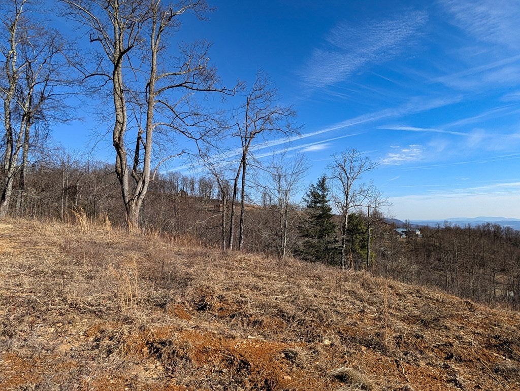 Tbd Hunters Path, Unit 9 Fancy Gap, VA 24328 - Photo 5 of 19 Gallery Image 5
