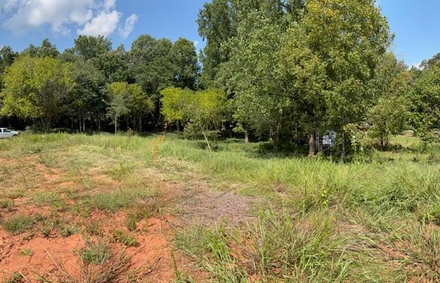 883 Harris Lord Cemetery Road Commerce, GA 30530 - Photo 11 of 17 a view of outdoor space with a garden