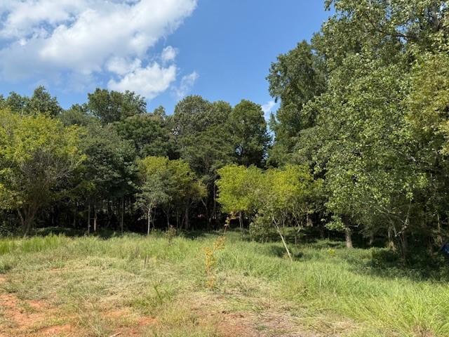 883 Harris Lord Cemetery Road Commerce, GA 30530 - Photo 13 of 17 a view of outdoor space and yard