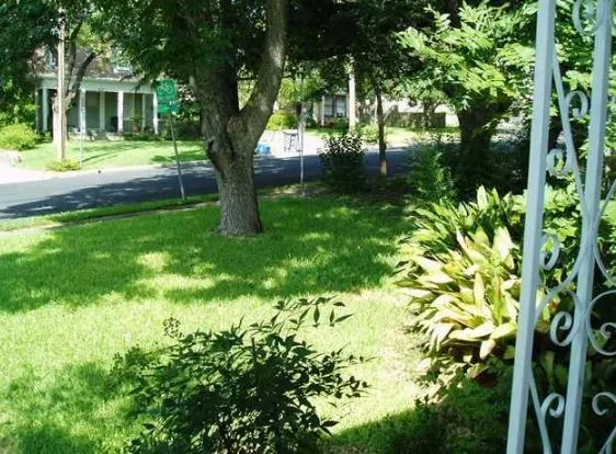 a view of a house with a yard and large tree