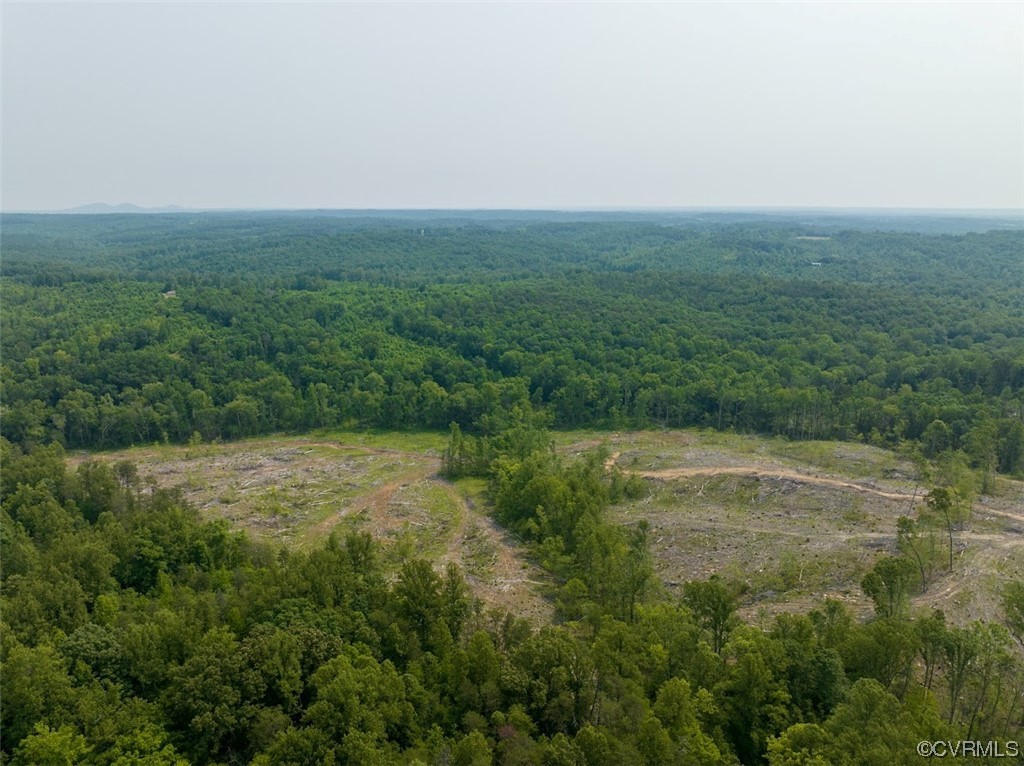 58.1 Chinquapin Road Prospect, VA 23960 - Photo 11 of 18 a view of a big yard with lots of green space and deers
