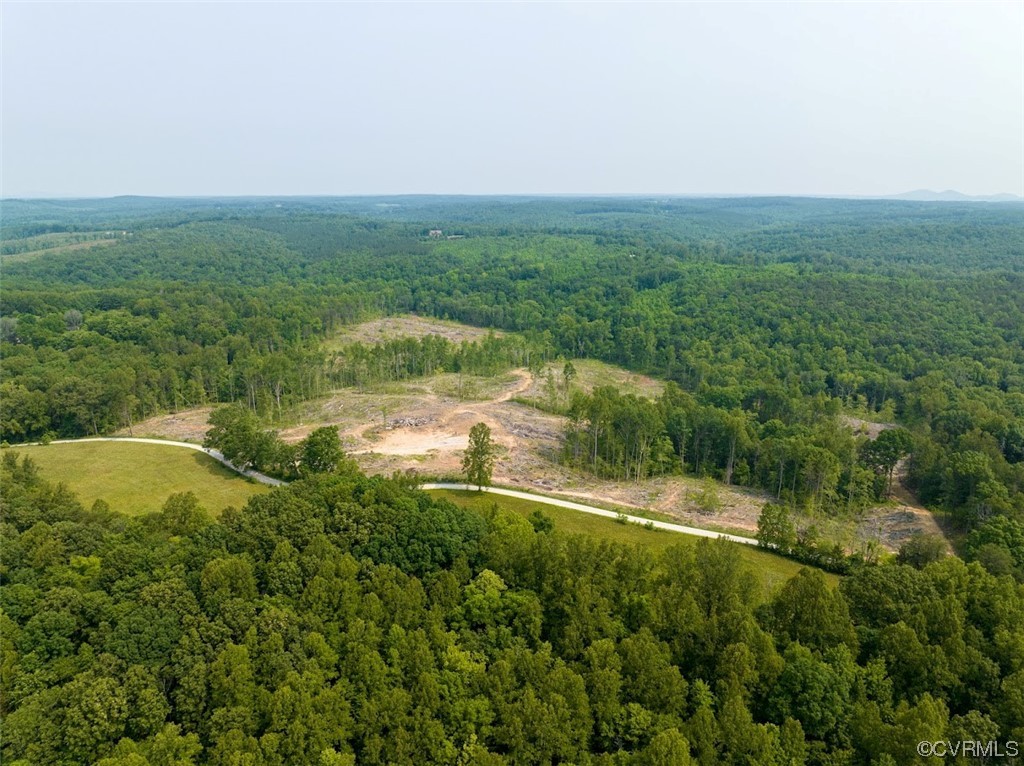 58.1 Chinquapin Road Prospect, VA 23960 - Photo 6 of 18 a view of a lake with a city