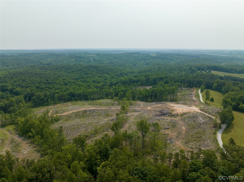 58.1 Chinquapin Road Prospect, VA 23960 - Photo 10 of 18 a view of a big yard with lots of green space and deers