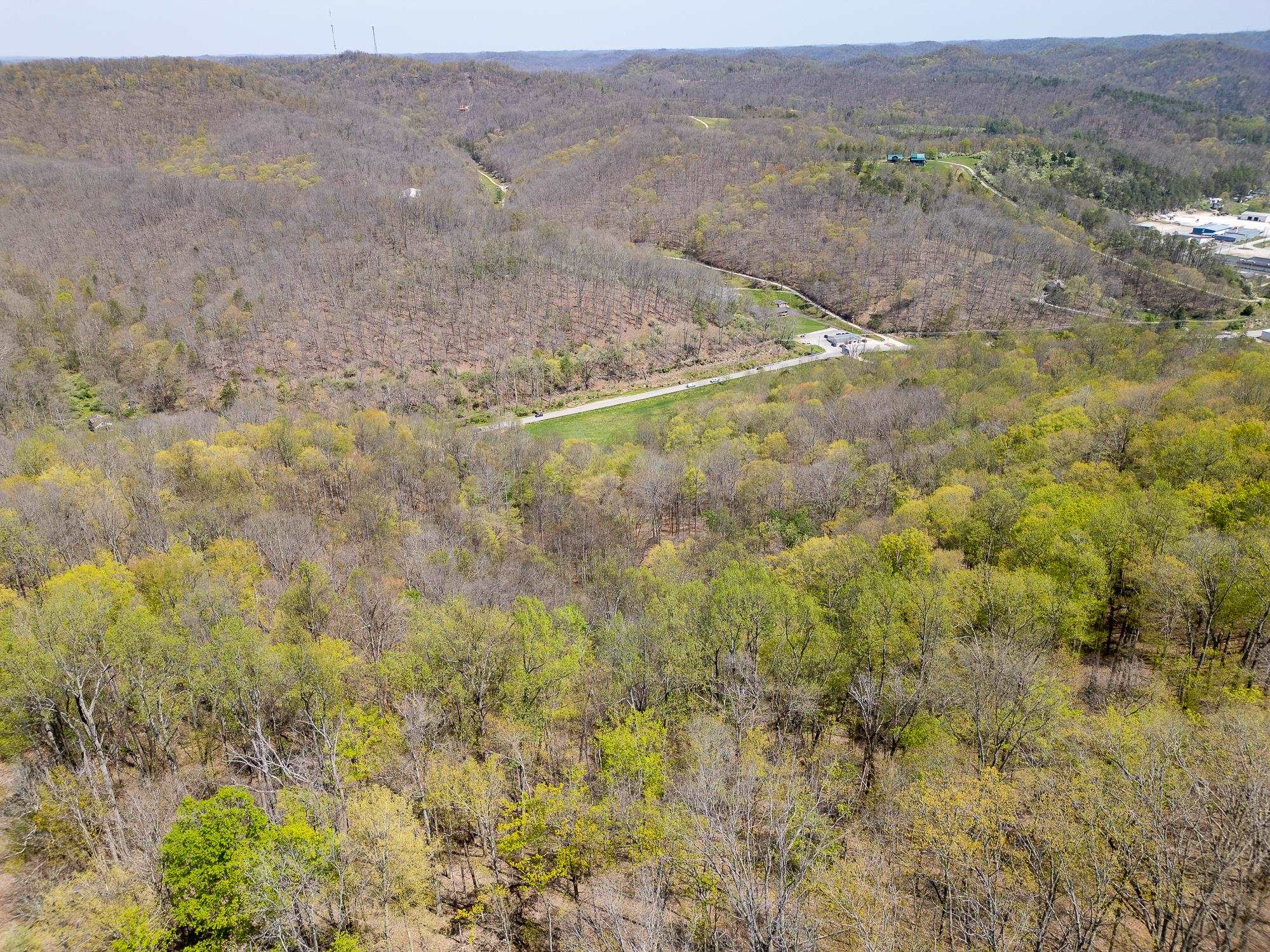0 Route 3 Mahone Creek Road Genoa, WV 25517 - Photo 5 of 17 Gallery Image 5