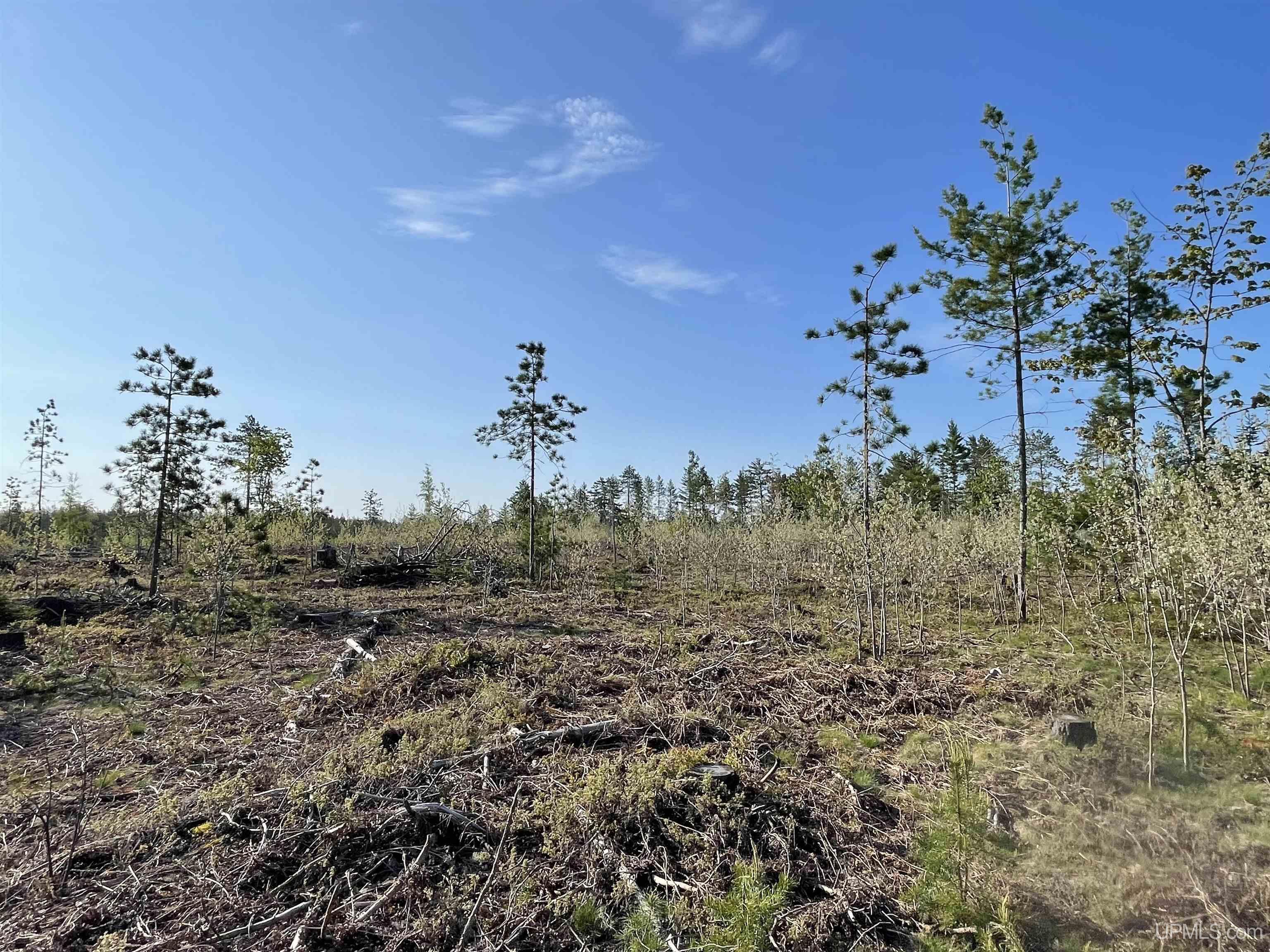 Tbd Tbd Hay Meadow Road Manistique, MI 49854 - Photo 32 of 51
