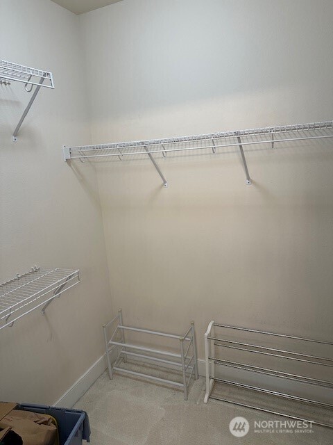 23943 Northeast 115th Lane, Unit 204 Redmond, WA 98053 - Photo 12 of 24 a view of walk in closet