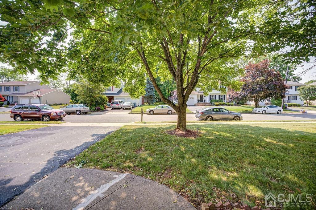16 Oak Tree Road Monmouth Junction, NJ 08852 - Photo 23 of 29 a sign board with yard and trees
