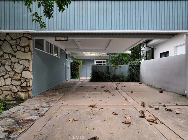 a view of a backyard with plants and large tree