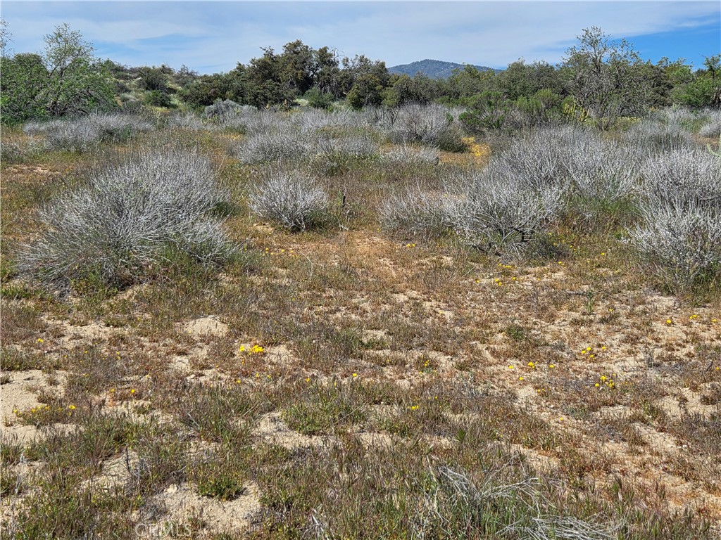 4 Fletcher Anza, CA 92539 - Photo 2 of 6