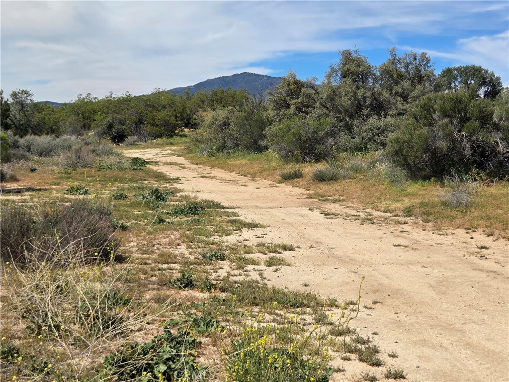 4 Fletcher Anza, CA 92539 - Photo 3 of 6