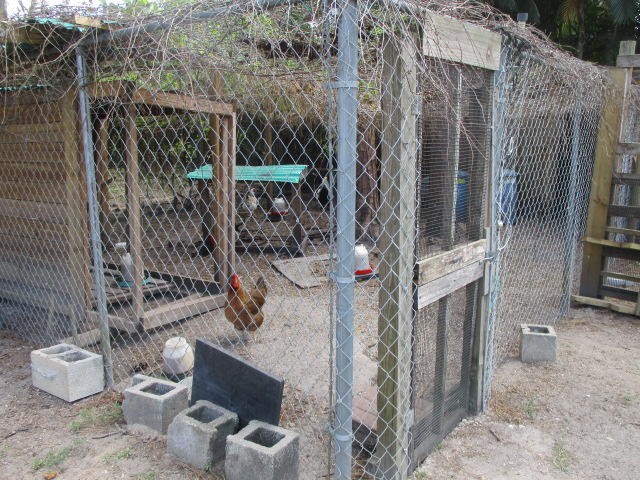 16728 78th Road North Loxahatchee, FL 33470 - Photo 7 of 23 a view of outdoor space and porch