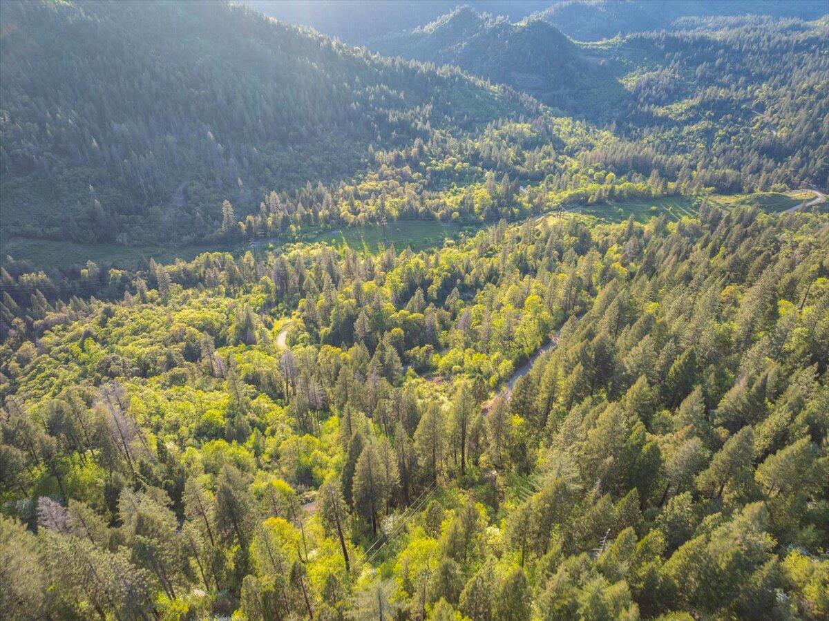 19649 Cove Road Montgomery Creek, CA 96065 - Photo 57 of 65 54