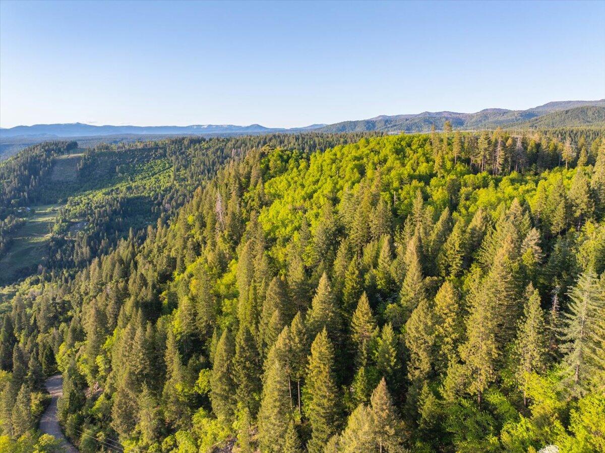 19649 Cove Road Montgomery Creek, CA 96065 - Photo 59 of 65 56