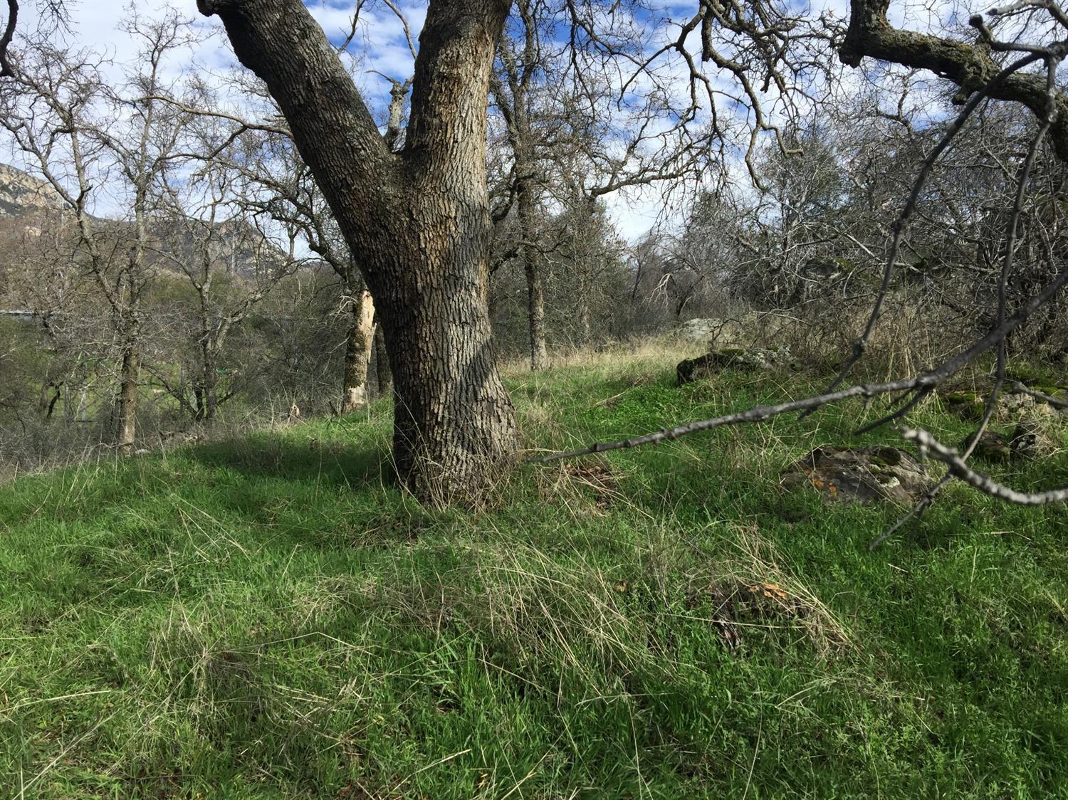 0 Dinely Drive Three Rivers, CA 93271 - Photo 15 of 16 Additional Photo