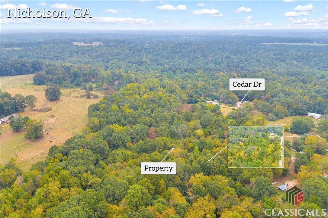 0 Cedar Nicholson, GA 30565 - Photo 3 of 17