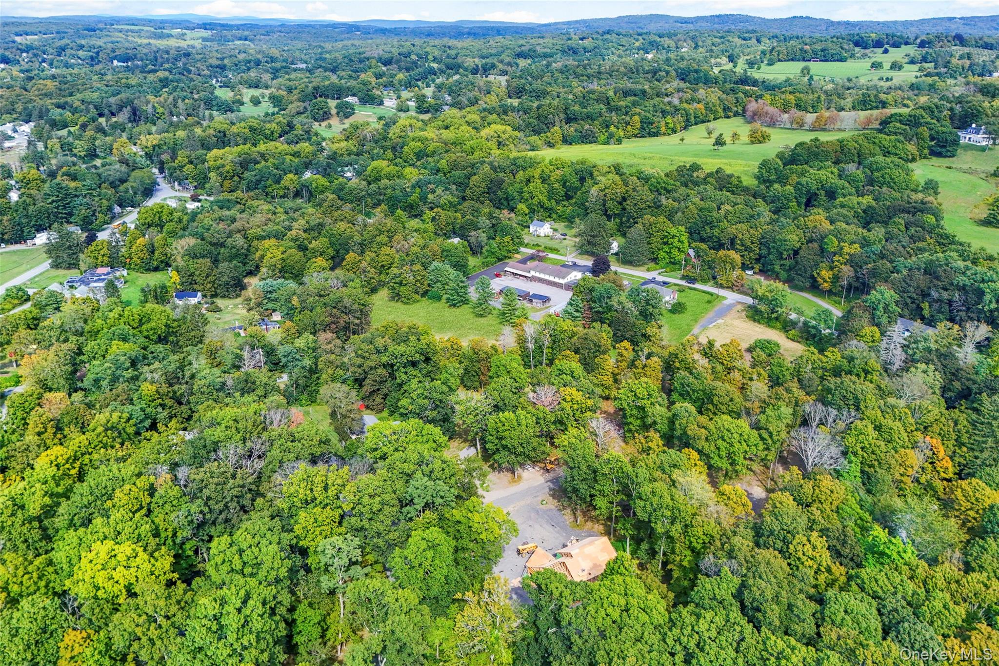 66 County House Road Millbrook, NY 12545 - Photo 4 of 6 an aerial view of residential houses with outdoor space and trees