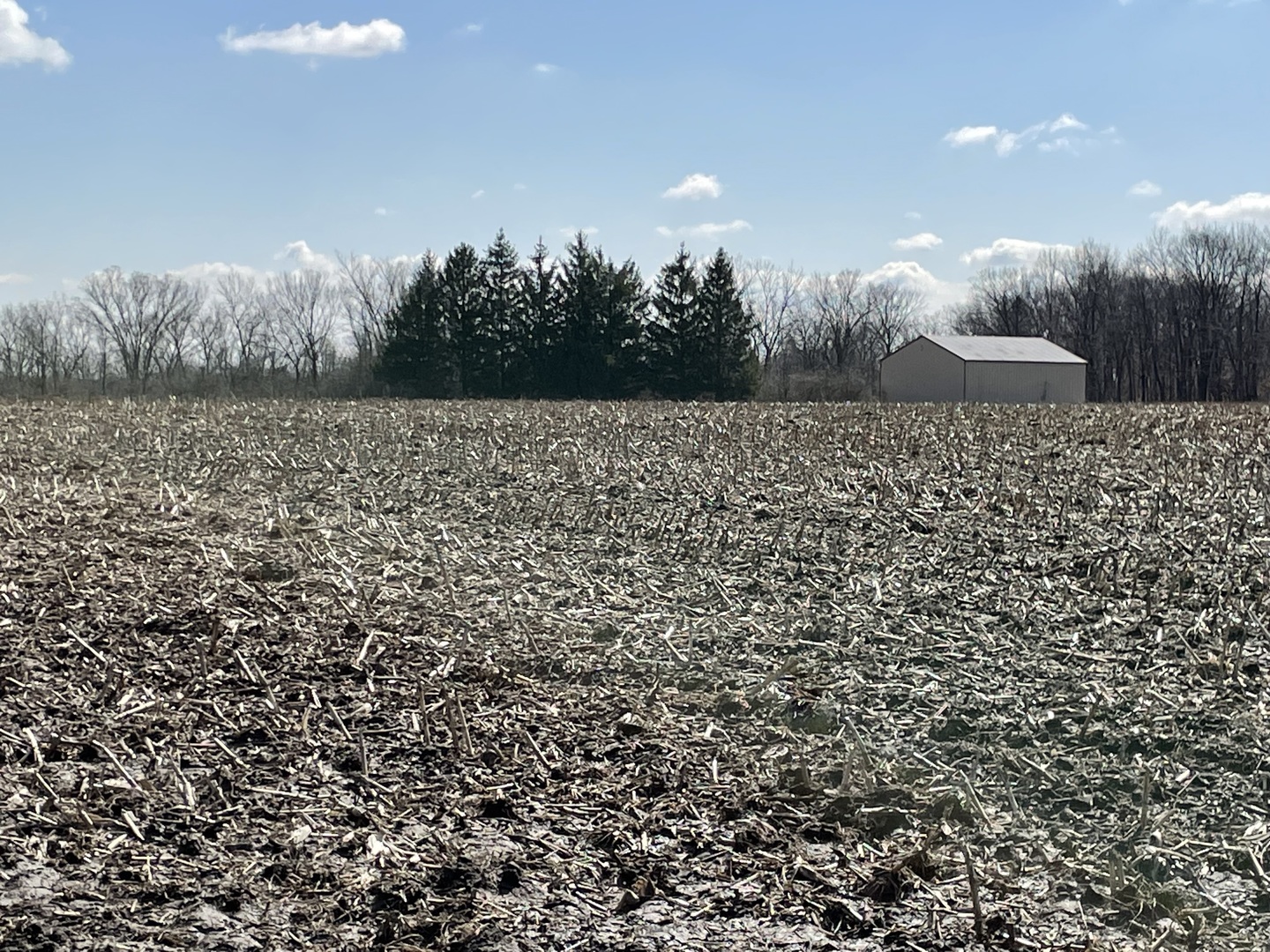 24555 South Bell Road Channahon, IL 60447 - Photo 8 of 10 Gallery Image 8