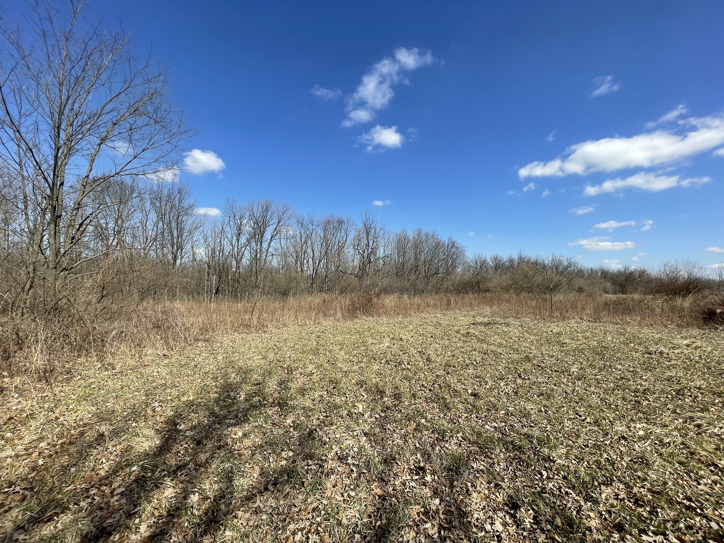 24555 South Bell Road Channahon, IL 60447 - Photo 9 of 10 Gallery Image 9
