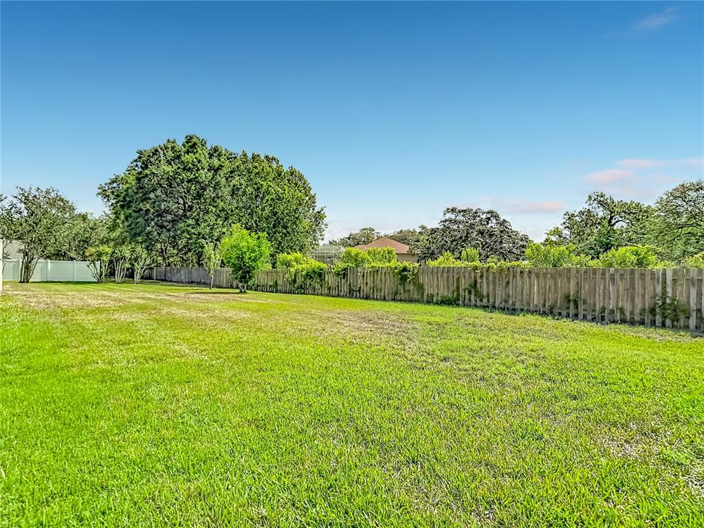 4306 River Birch Drive Spring Hill, FL 34607 - Photo 79 of 84