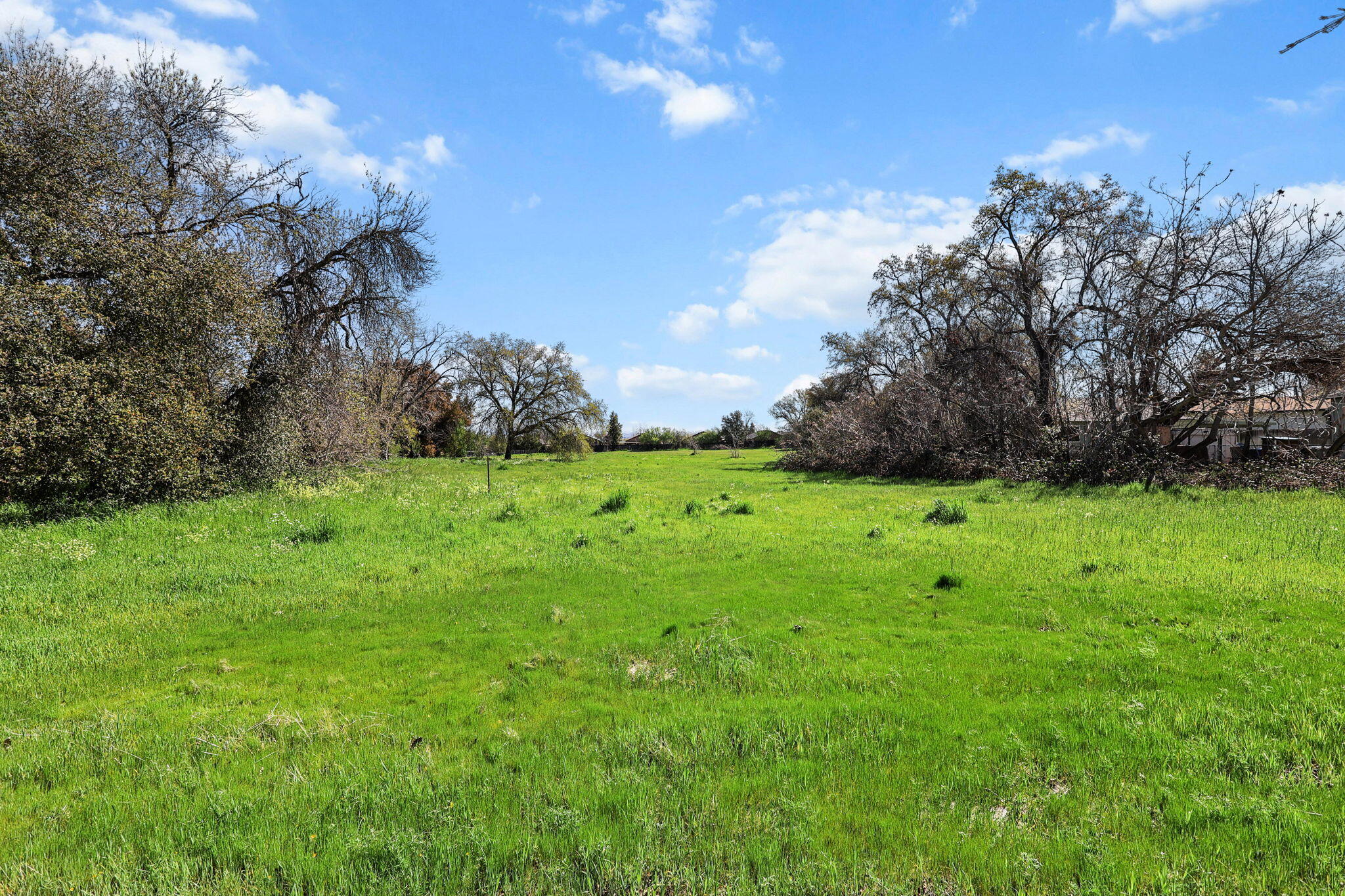 425 South Jackson Street Red Bluff, CA 96080 - Photo 11 of 16 a view of yard with green space