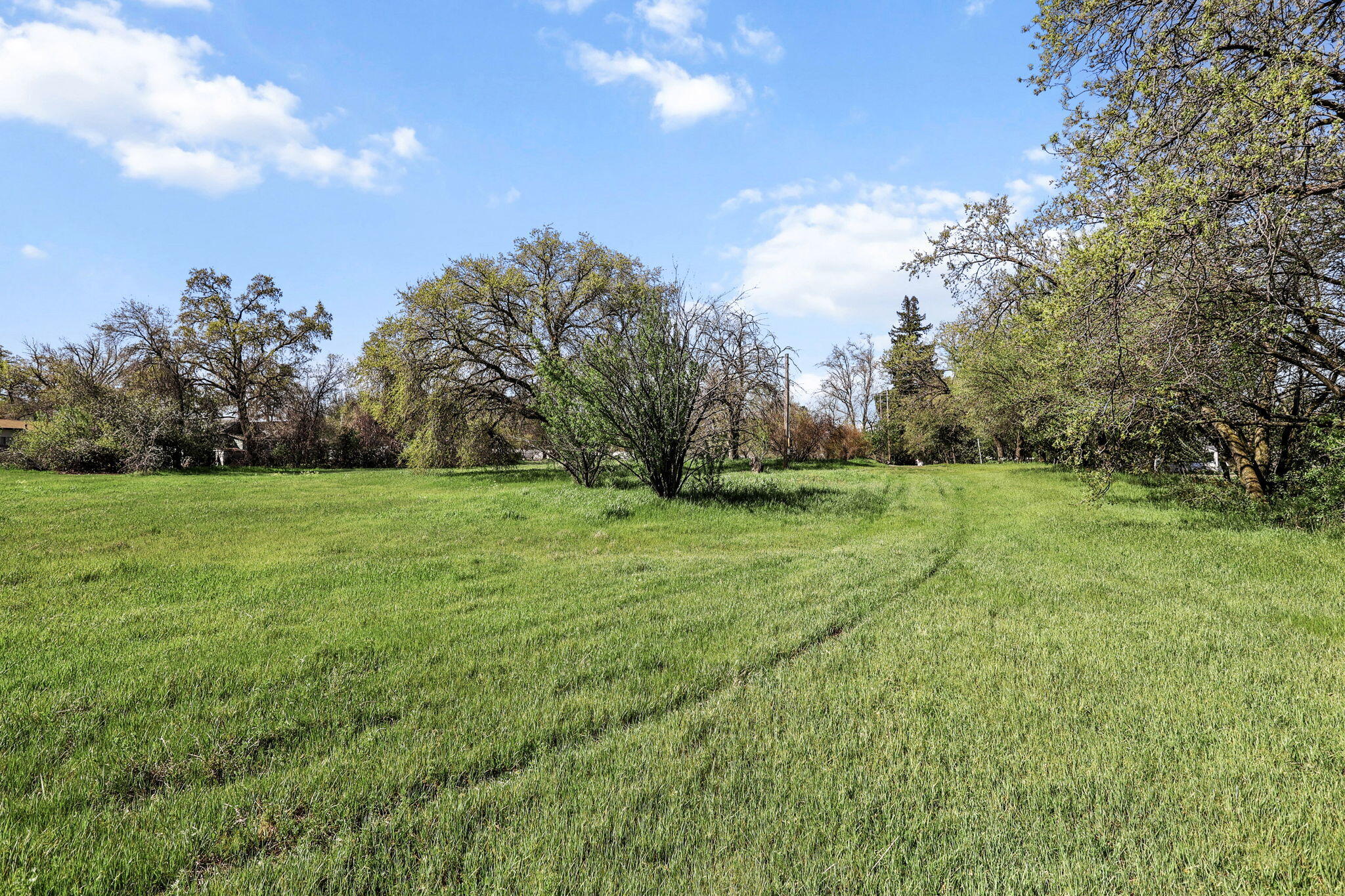 425 South Jackson Street Red Bluff, CA 96080 - Photo 12 of 16 a view of a field with grass and trees