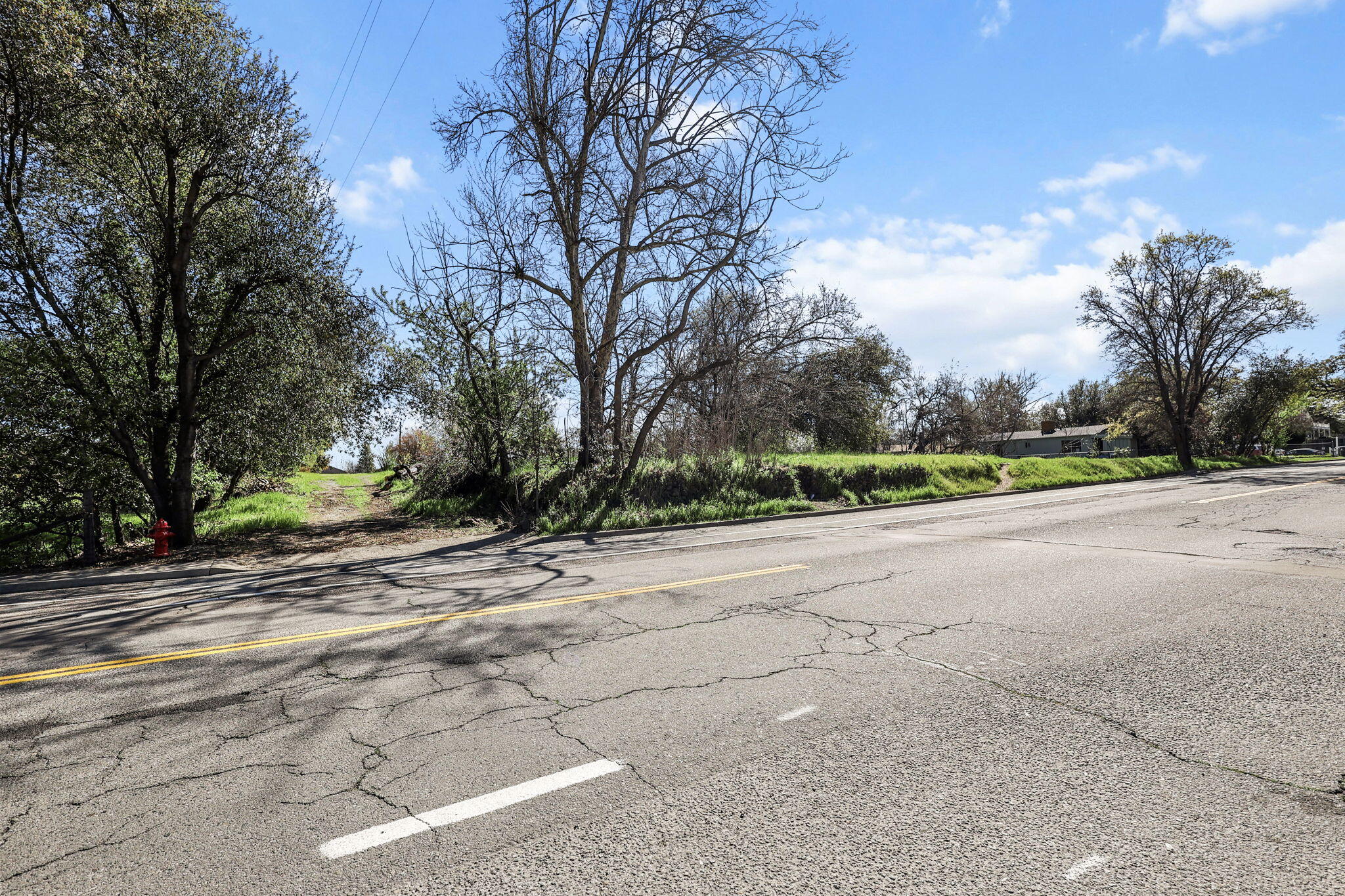 425 South Jackson Street Red Bluff, CA 96080 - Photo 3 of 16 a view of a street with a yard and trees