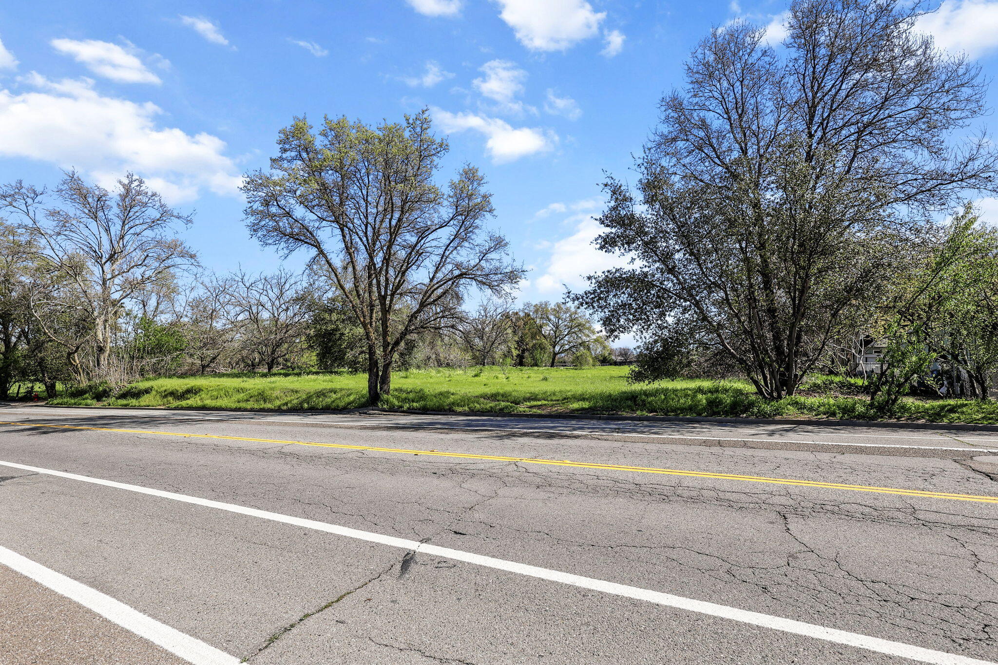425 South Jackson Street Red Bluff, CA 96080 - Photo 6 of 16 a view of a yard with a large tree