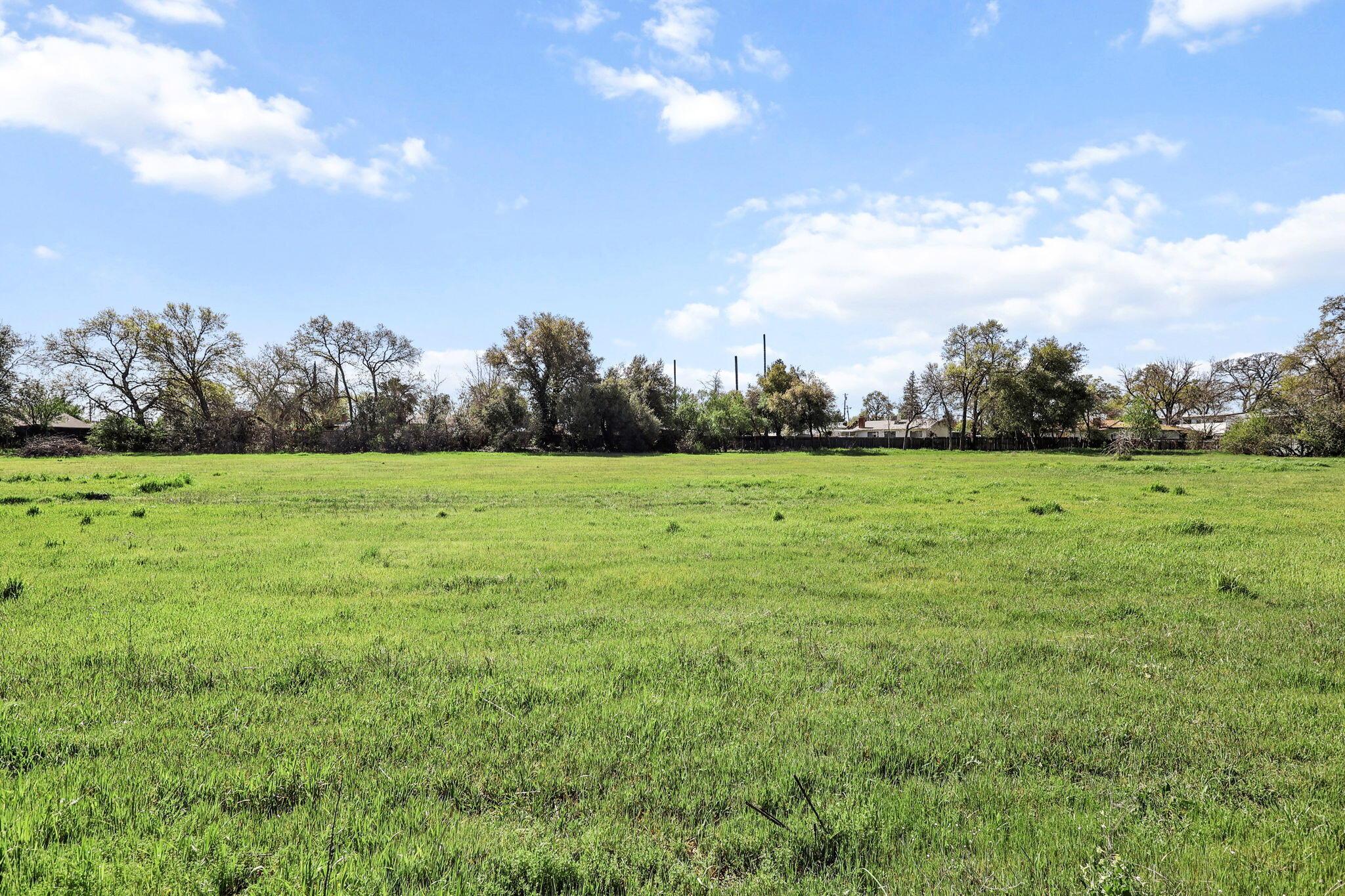 425 South Jackson Street Red Bluff, CA 96080 - Photo 7 of 16 a view of a grassy field with trees in the background