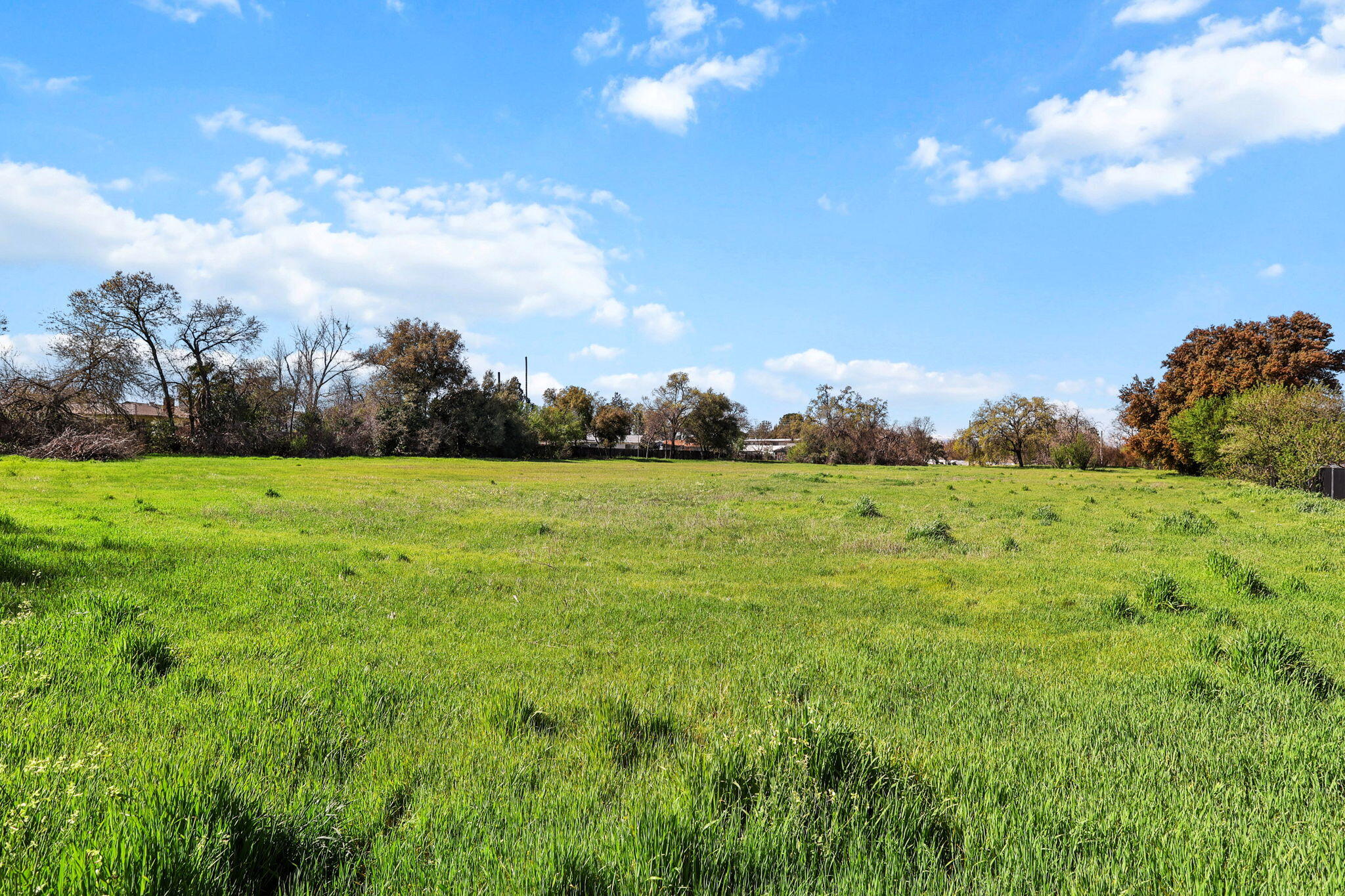 425 South Jackson Street Red Bluff, CA 96080 - Photo 8 of 16 a view of a green field with wooden fence