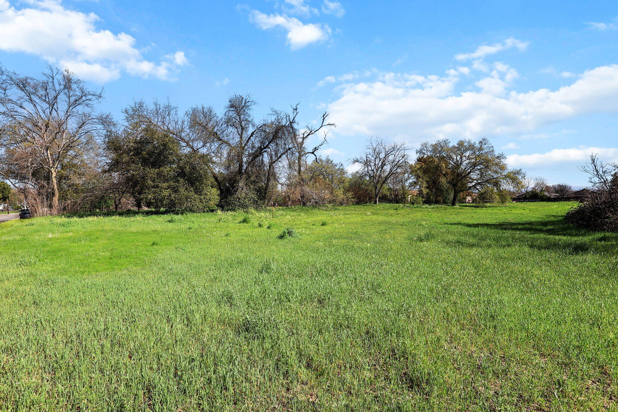 425 South Jackson Street Red Bluff, CA 96080 - Photo 9 of 16 a view of a grassy field with trees