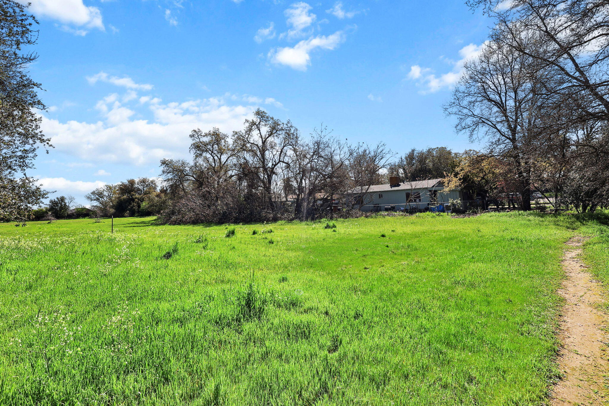 425 South Jackson Street Red Bluff, CA 96080 - Photo 10 of 16 a view of yard with green space