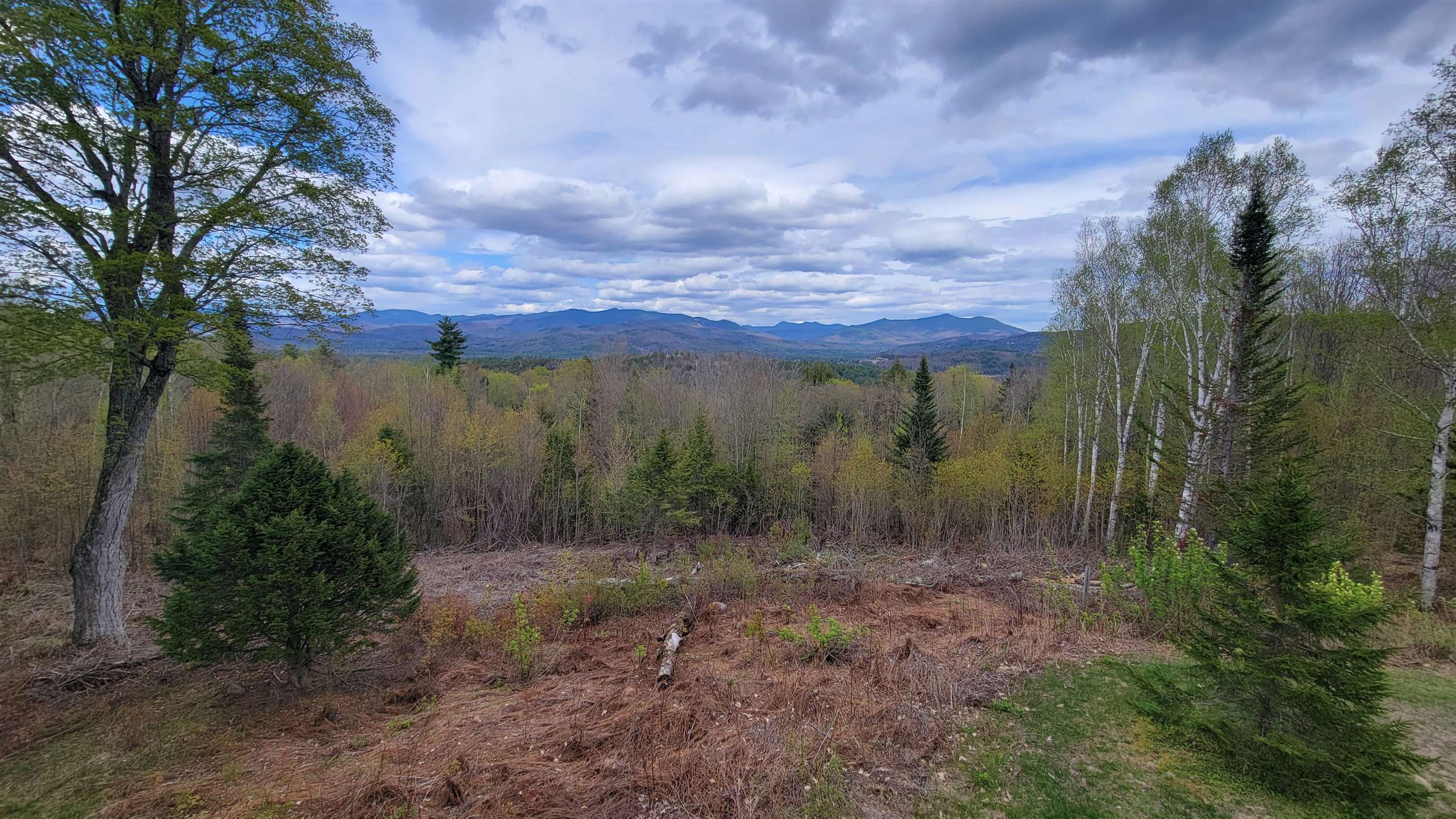15 Antler Road Campton, NH 03223 - Photo 7 of 60