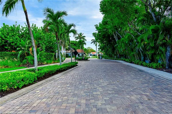 a view of road with plants and trees around