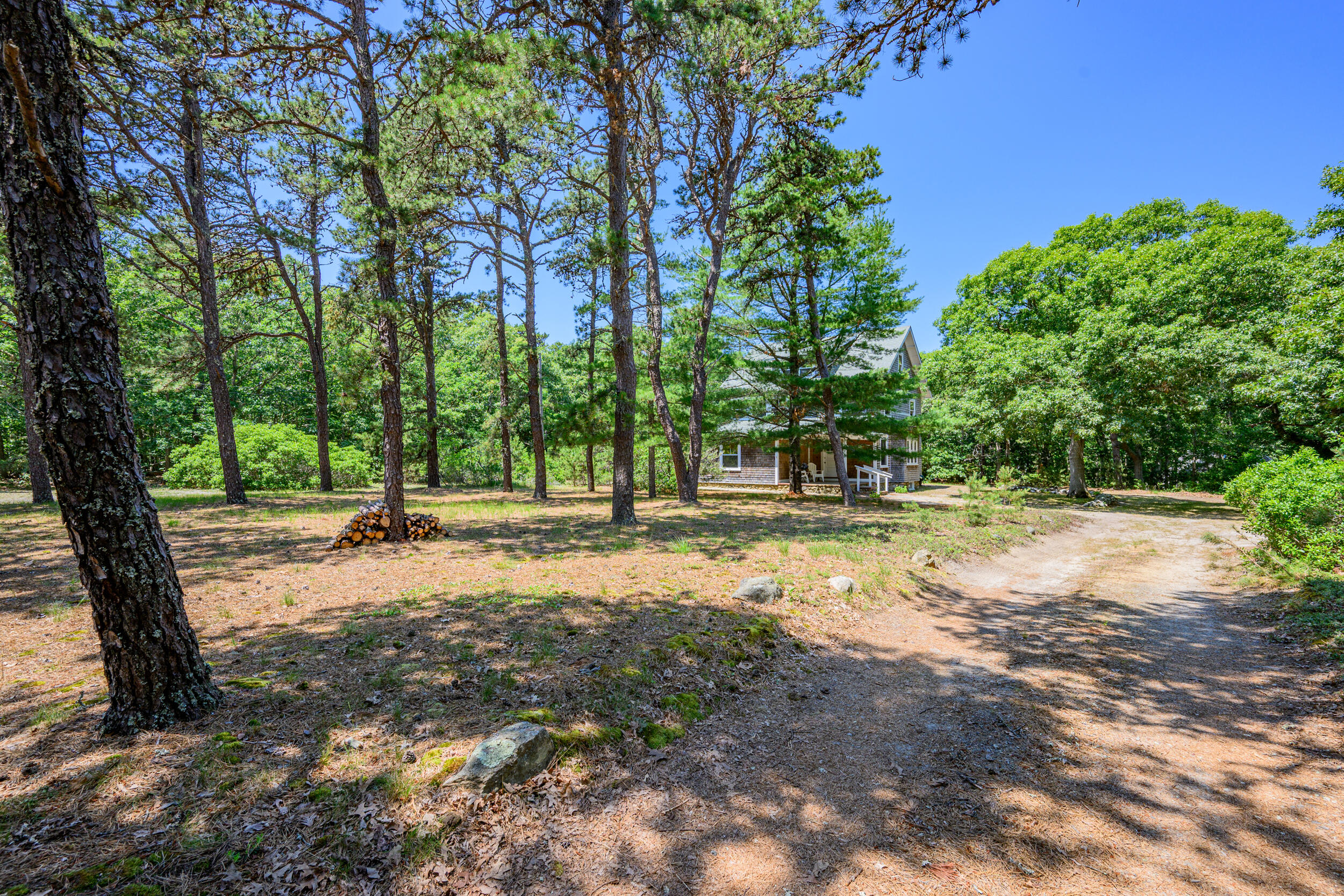 149 Cathedral Road Brewster, MA 02631 - Photo 44 of 53 From the street