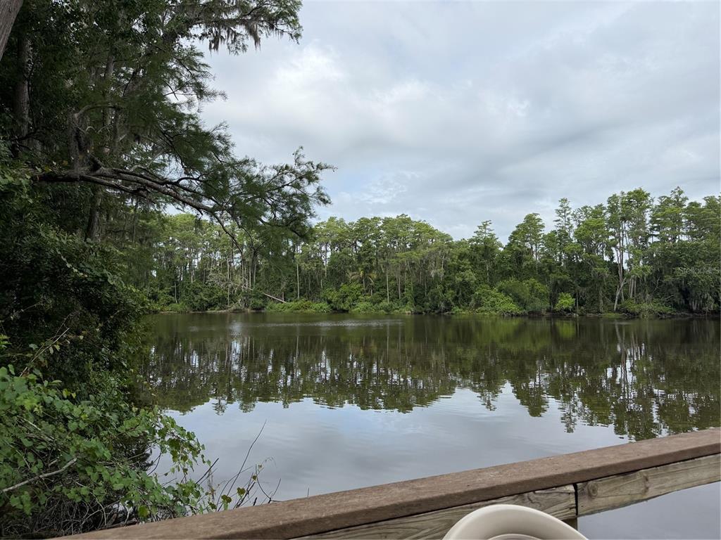20893 Haulover Cove Road, Unit E 2 Lutz, FL 33558 - Photo 29 of 34